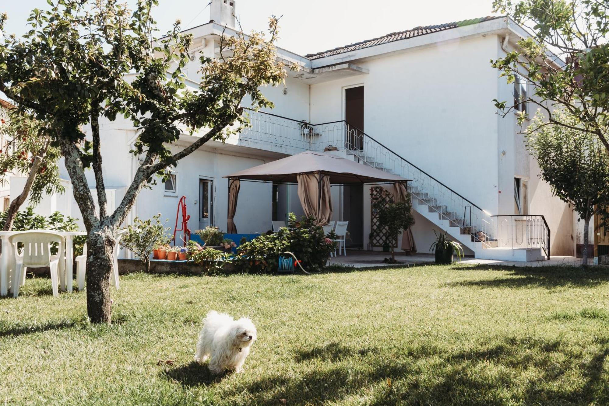A Casa Da Estrela - Albergue De Peregrinos Fajozes Bagian luar foto