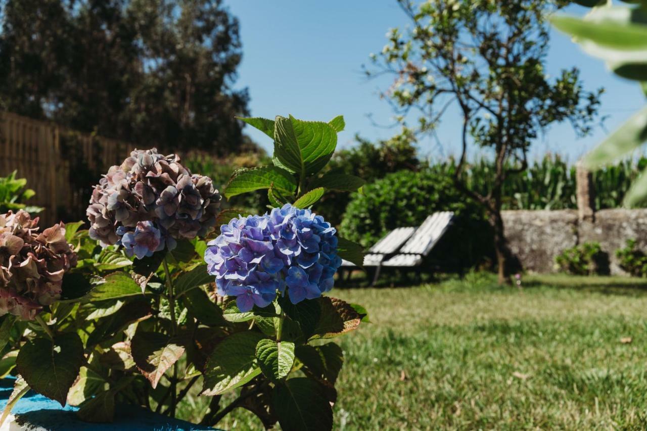 A Casa Da Estrela - Albergue De Peregrinos Fajozes Bagian luar foto